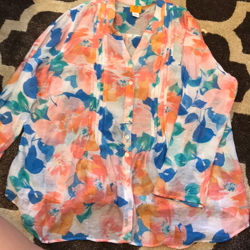 Ruby Rd. 2x blouse